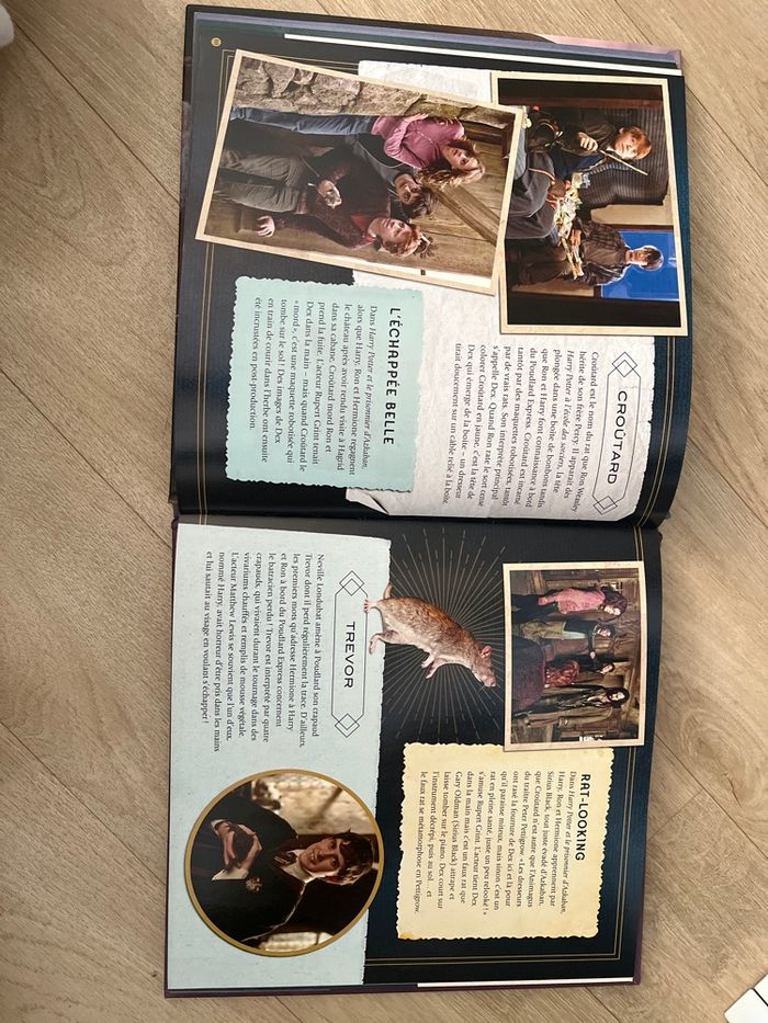 Harry Potter - photo numéro 3