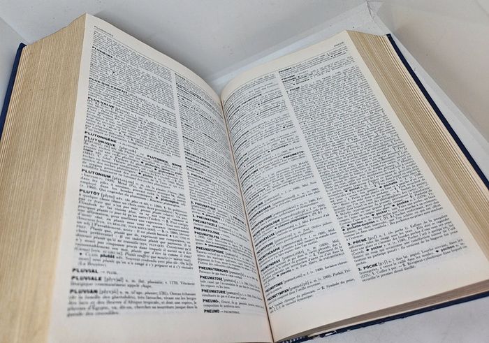 Dictionnaire de la langue Française.
Lexis.
Larousse.
En l'état. - photo numéro 10