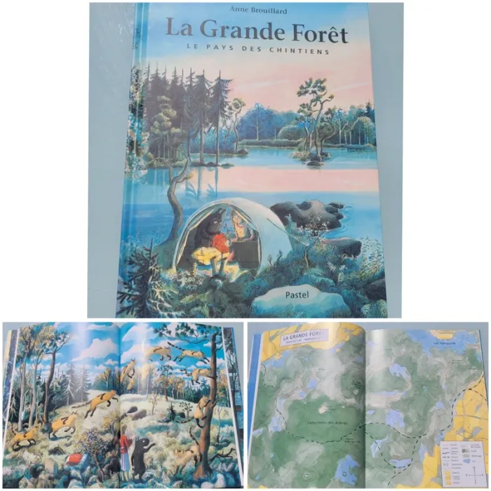 Livre couverture rigide, grand format, l'école des loisirs, La Grande Forêt, le pays des Chintiens