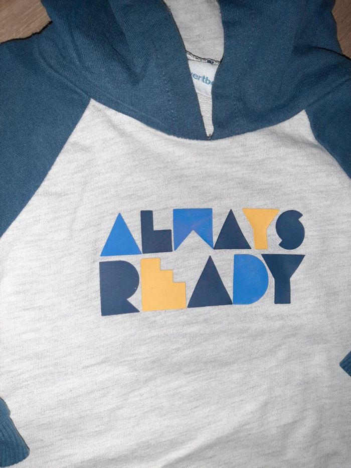 Sweat à capuche 9 mois - photo numéro 2