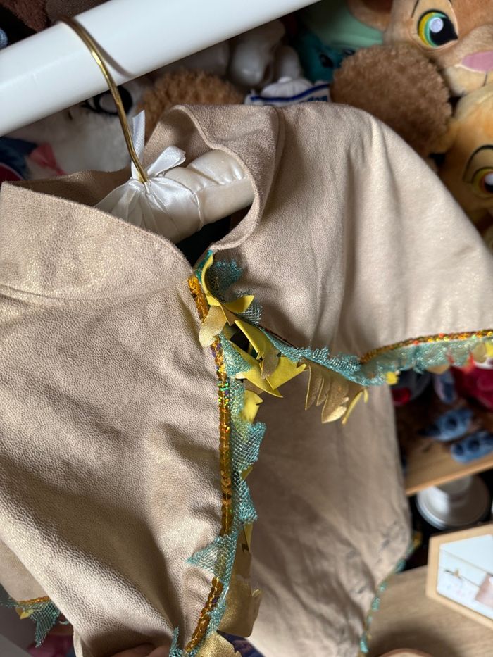 Déguisement Disney princesse Pocahontas - photo numéro 9