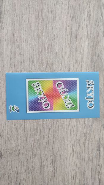 Notice seule pièce détachée Skyjo jeu de société #E15