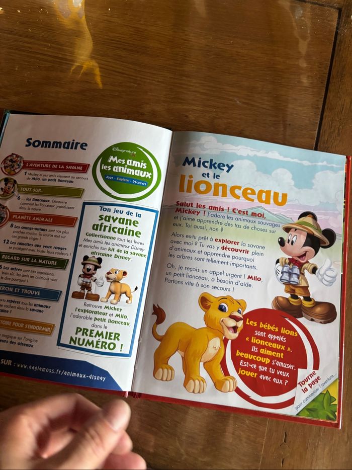 Livre Disney - photo numéro 2