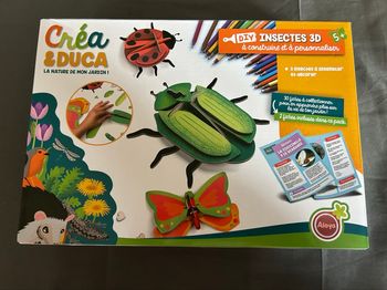 DYI Insectes 3D