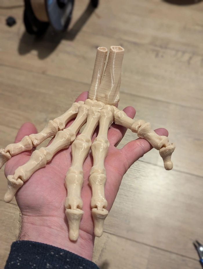 Main articulé - photo numéro 5