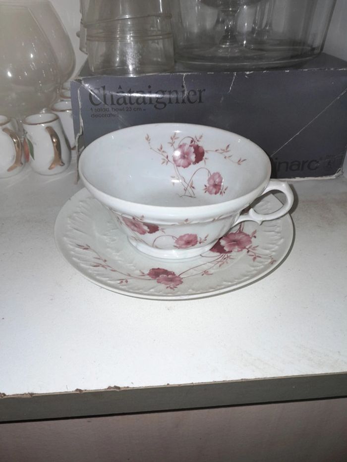 1 tasse 12x6 cm et 1 assiette 16 cm Bon état