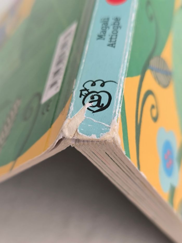 Livre La coccinelle Amaterra - photo numéro 8