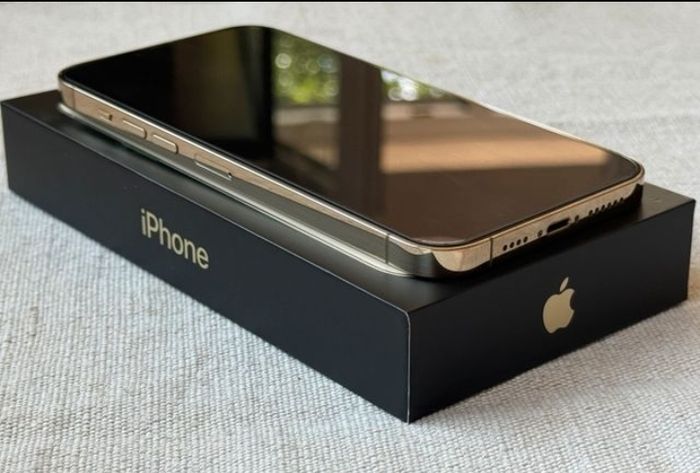 Une iphone treize - photo numéro 4