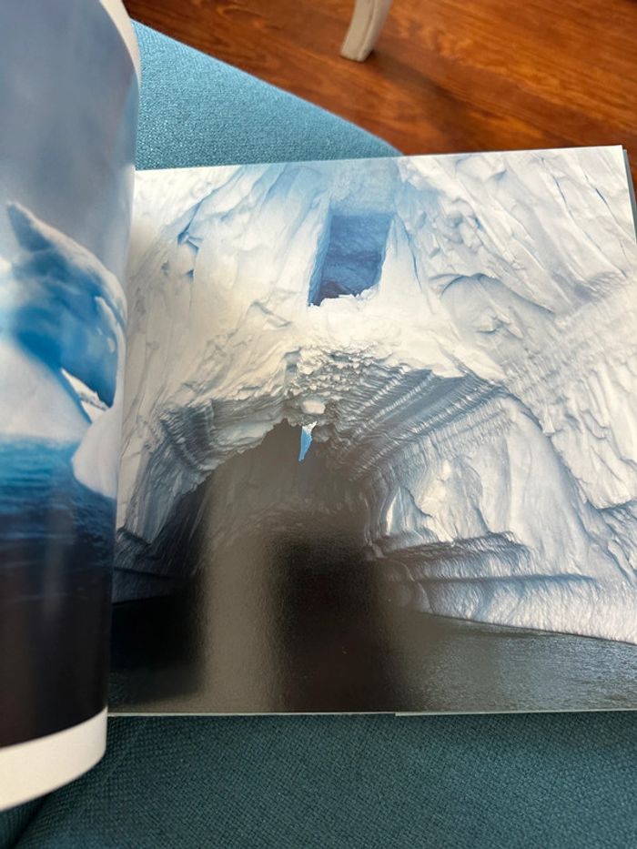 Livre Antarctica Alerte sur la planète Sébastian Copeland Antarctique Luc Besson Leonardo DiCaprio - photo numéro 14