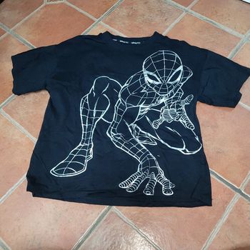 Tee-shirt spiderman disney 100