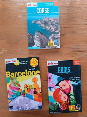 Lot livres de voyage le petit futé