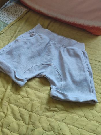 short gris  5 ans