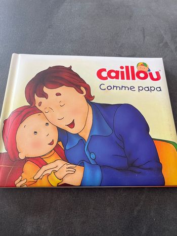 Livre caillou comme papa bébé 