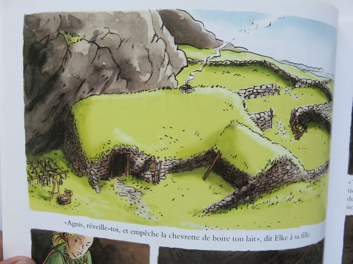 Documentaire jeunesse 8-13 ans : L'herbe verte du Groenland. Les Vikings au Xe siècle. (L'école des - photo numéro 5