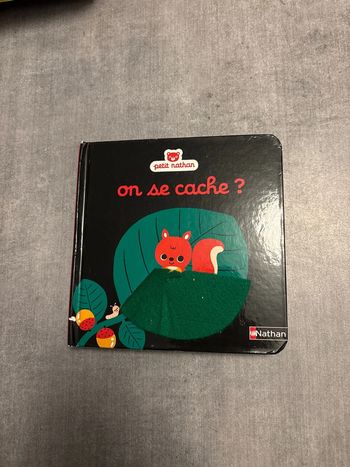 Livre Petit, Nathan, on se cache