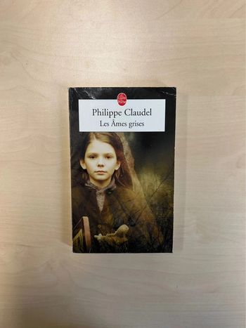 Les âmes grises Philippe Claudel
