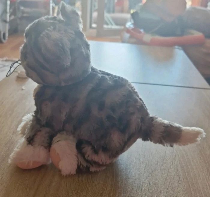 Chat neuf peluche - photo numéro 2