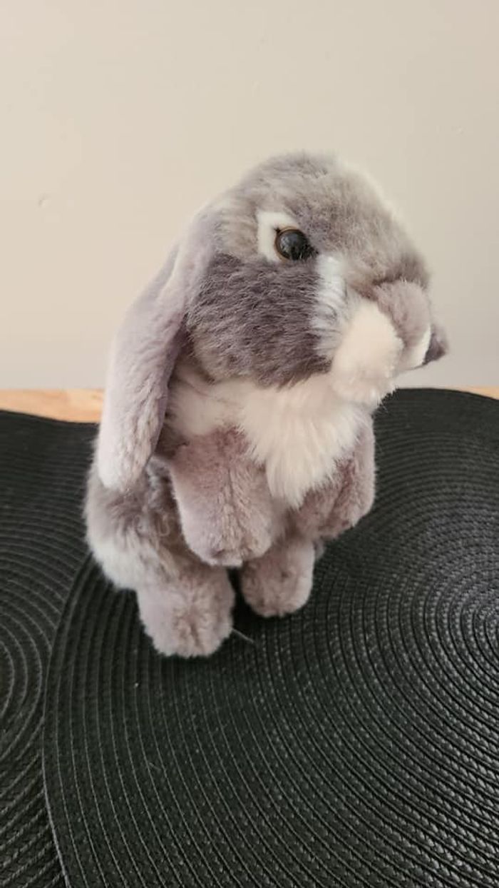 Lapin gris assis Living Nature - photo numéro 3