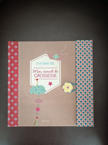 Mon carnet grossesse Hachette 