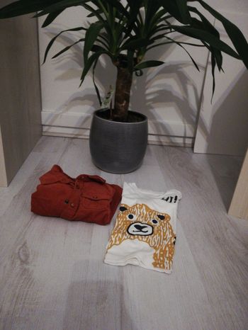 Chemise et tee shirt manche longue