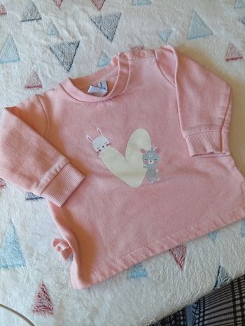 Pull coeur animaux