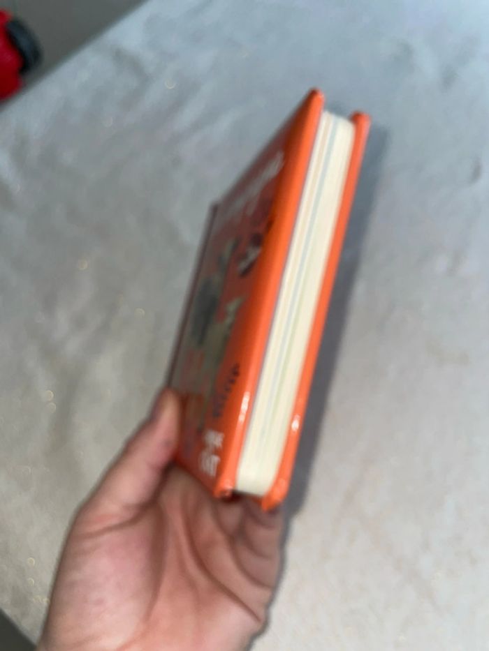 Livre à toucher à la campagne - photo numéro 3