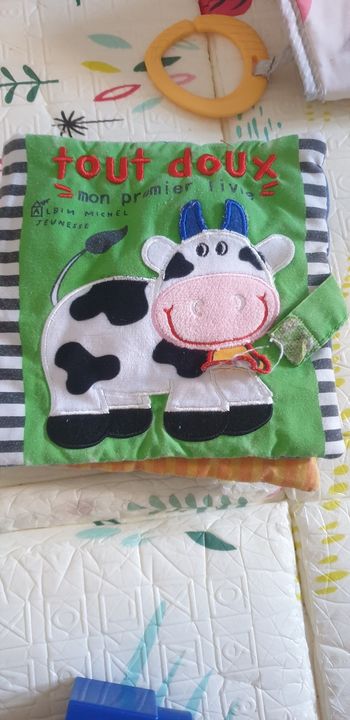 Livre en tissu