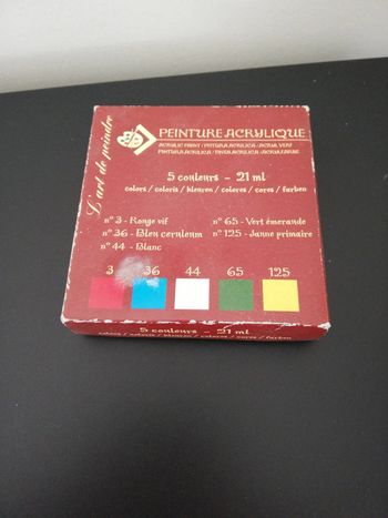 Peinture acrylique 5 couleurs neuf
