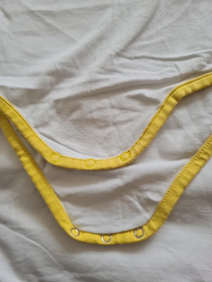 Lot de 3 bodies MC 18 mois Petit Bateau - photo numéro 14