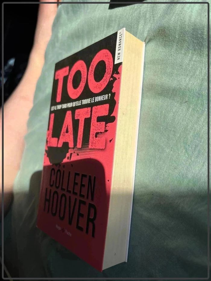 Colleen Hoover - too late - photo numéro 2
