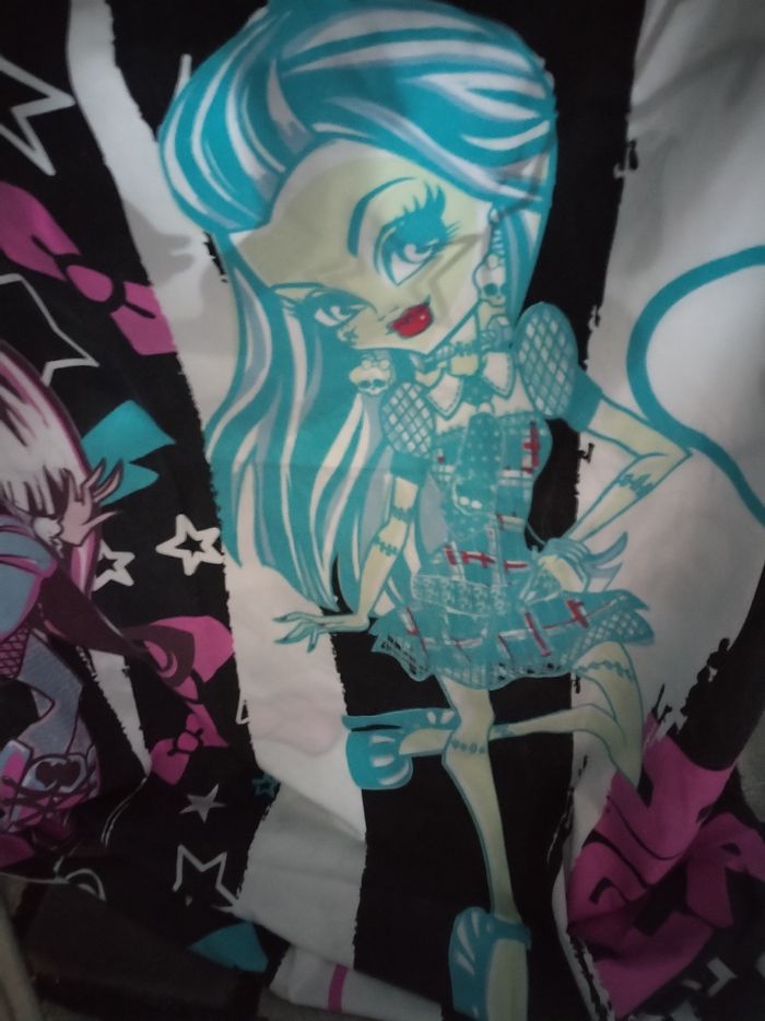 Très beau ensemble housse de couette et une taie d'oreiller assortie  "Monster high" - photo numéro 5