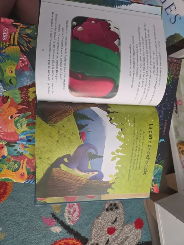 Livre cherche et trouve dinausores - photo numéro 7
