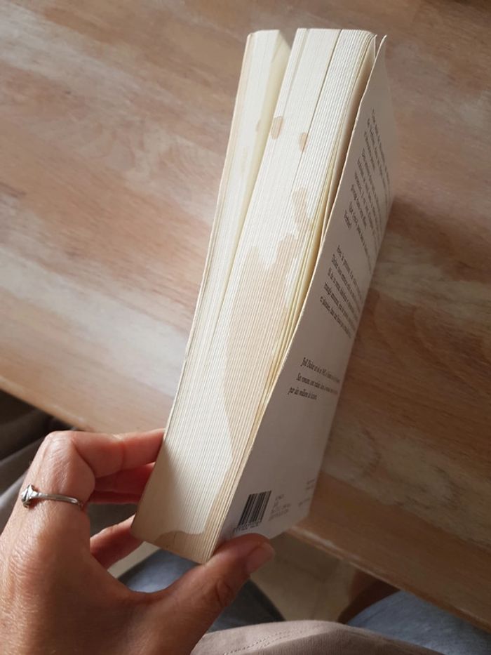 l'énigme de la chambre 622 - Joel Dicker - photo numéro 3