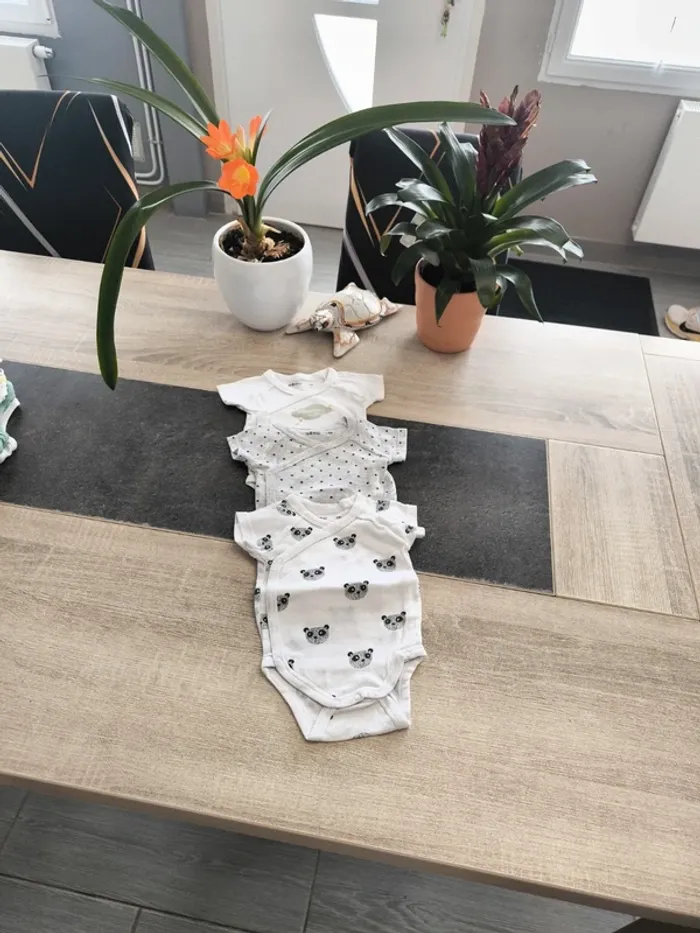 Lot de 3 bodies ouverture croisée garçon mc 3 mois Gémo