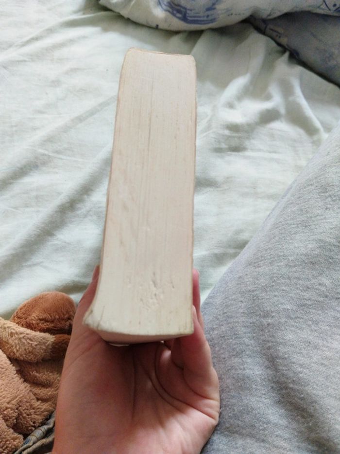 L'amulette de samarcande - photo numéro 5