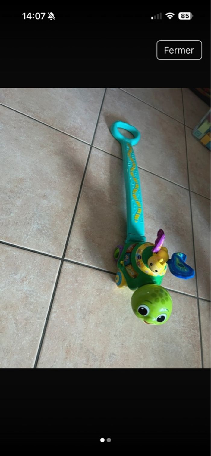 Pousse pousse tortue