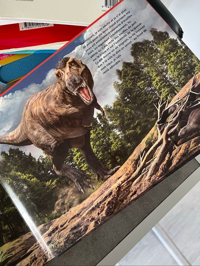 Livre dinosaure - photo numéro 3