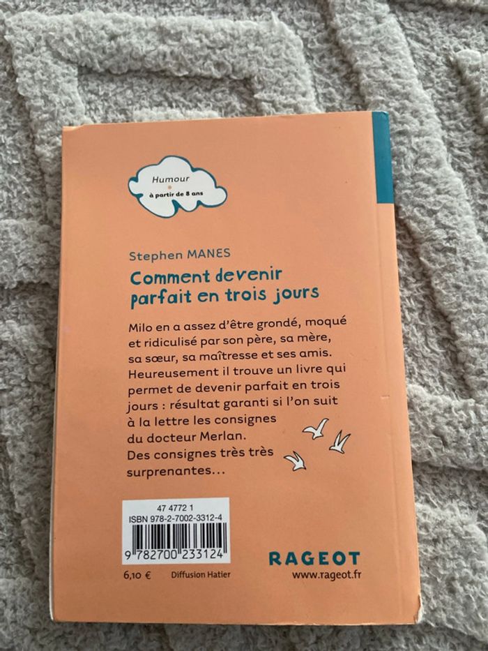 Comment devenir parfait en trois jours de Stephen Mânes - photo numéro 2
