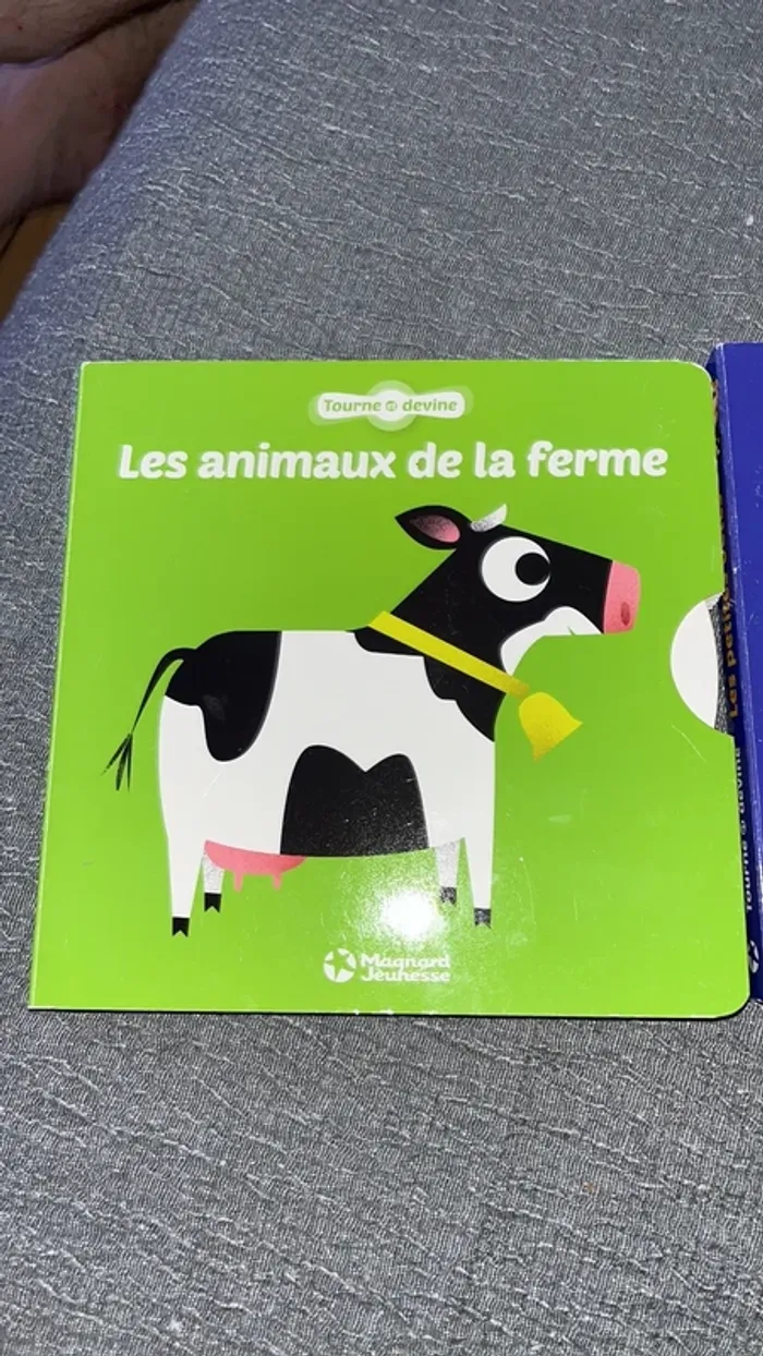 Lot 2 livres enfant - photo numéro 2