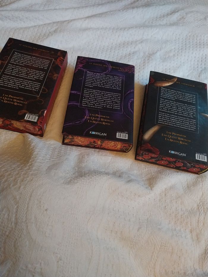 Romans Le Royaume des Corbeaux tomes 1 à 3 Reliés Collectors Olivia Wilderstein Korrigan - photo numéro 8