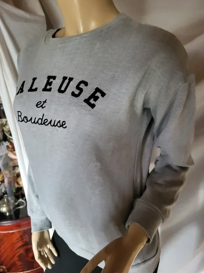 Pull râleuse - photo numéro 2