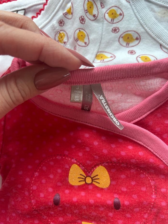 Lot de 3 bodies manches courtes - photo numéro 3