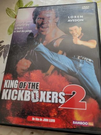 King of the kickboxers 2