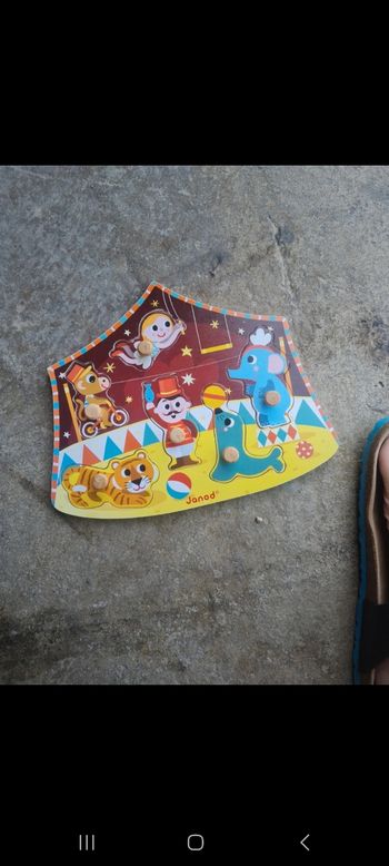 Puzzle Janod