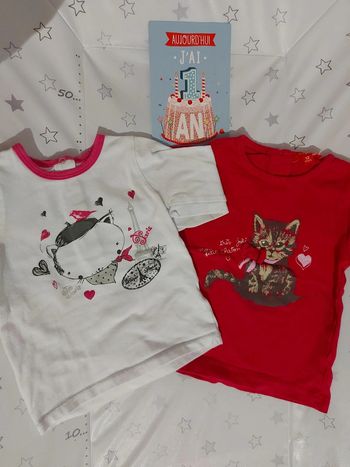 Lot 2 tee-shirt ml 12 mois