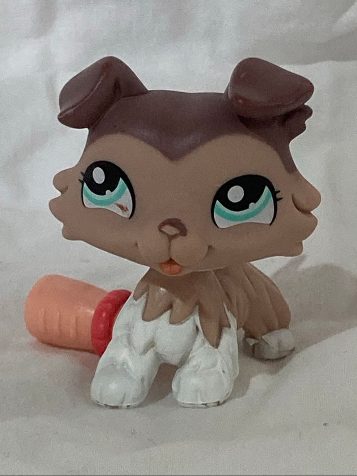 lps colley - photo numéro 5