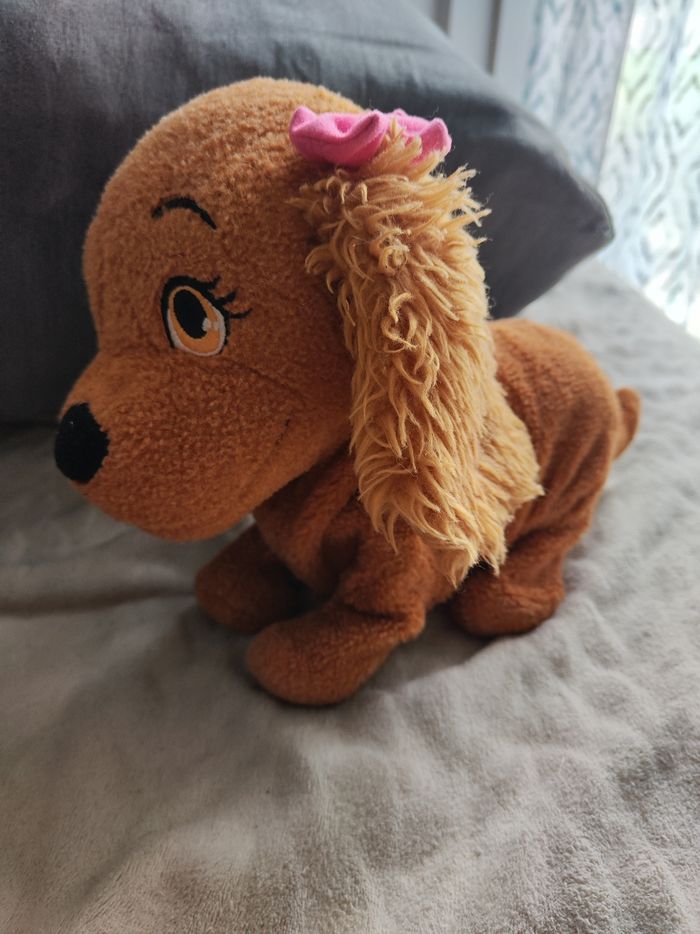 Chienne - photo numéro 2