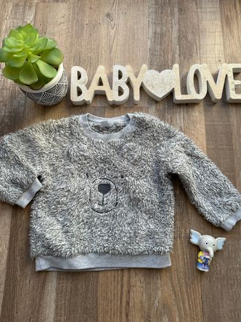 - Pull Tex    - 9 mois - Très bon état, petite tache sur le col 