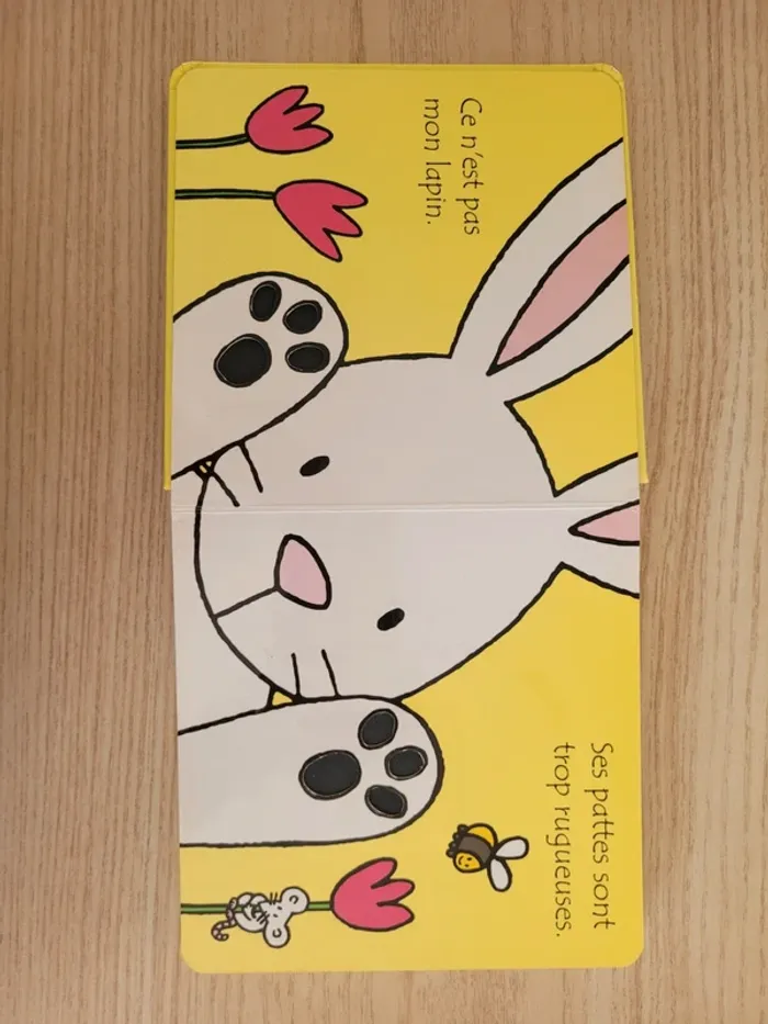 Où est mon lapin? - photo numéro 4