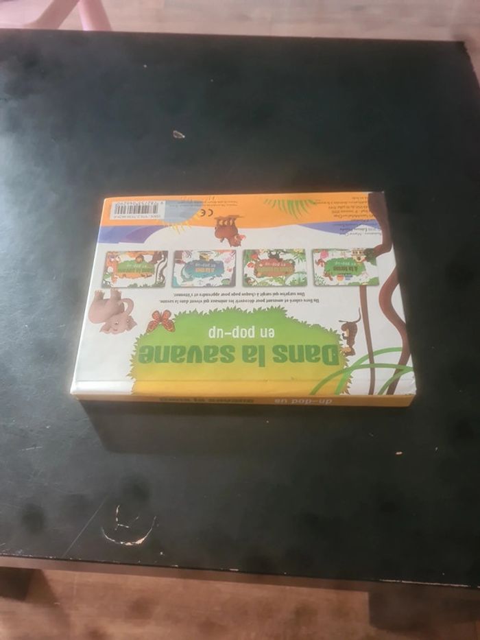 Dans la savane en pop-up - photo numéro 6